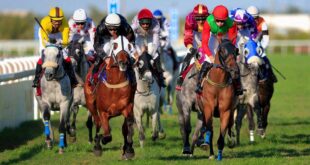 Chubut Lottery Beturf