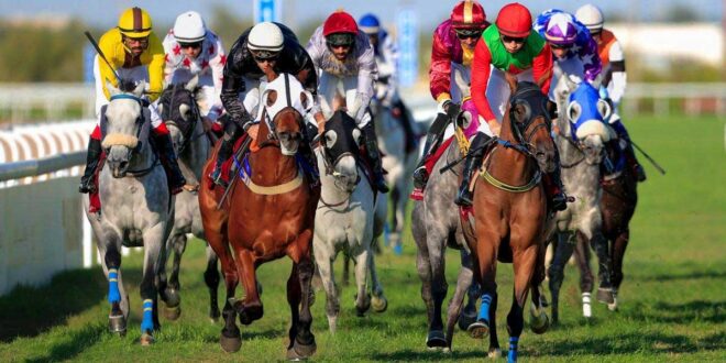 Chubut Lottery Beturf