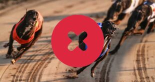 Wales Greyhound Racing