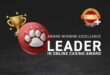 QTech Games Leader in Online Casino Award