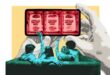 Teen Gambling Epidemic