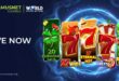 WSB Amusnet south africa